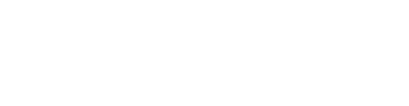 SkyWork